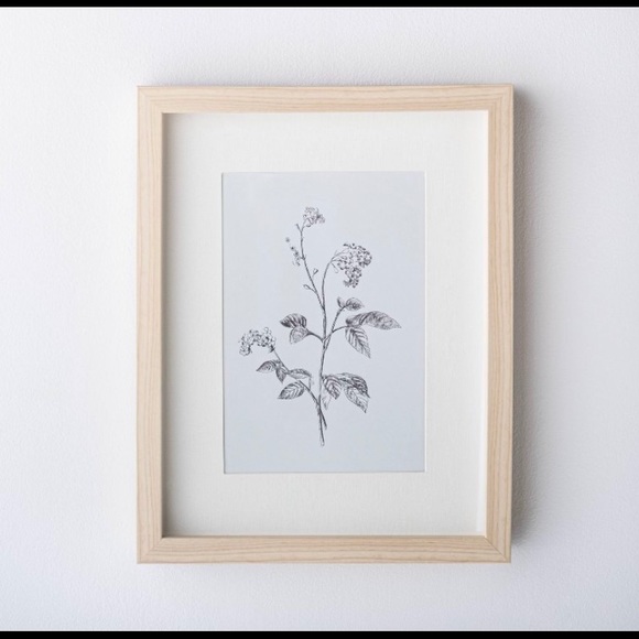 Studio McGee 11x14 Wild Blossom Framed Print